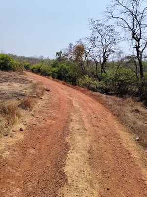 Plot Area in  Plot at Wagholi – for Sale