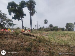 Plot Area in  Plot at Oyster Green Mount City, Ab Bypass Road – for Sale