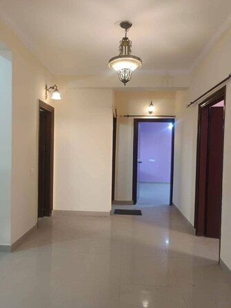 2 BHK Apartment For Rent in Maya Garden City in Lohgarh, Zirakpur