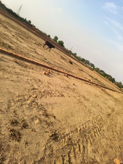 Plot For Sale in Saini