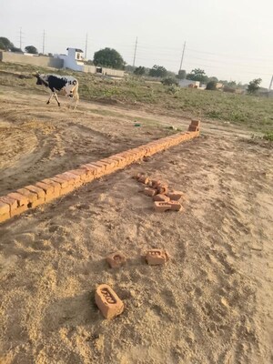 Plot Area in  Plot at Saini – for Sale