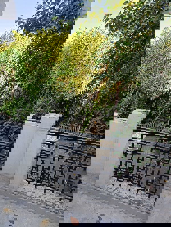 1 BHK Apartment For Rent in Vasundhara Complex