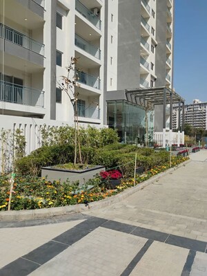 2 BHK Apartment – Exterior View View at Godrej Air Sector 85, Sector 85 - for Rent