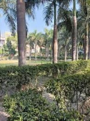 Plot Area in  Plot at Sector 51 – for Sale