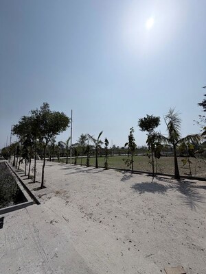 Plot Area in  Plot at Biharigarh – for Sale