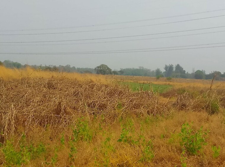 undefined, new panvel east Commercial Land 1089 Sq.Ft. In New Panvel East Navi Mumbai 10307163