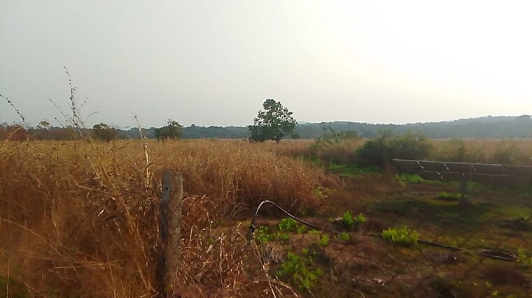 undefined, karjat  1089 Sq.Ft. Plot In Karjat Navi Mumbai 10307189