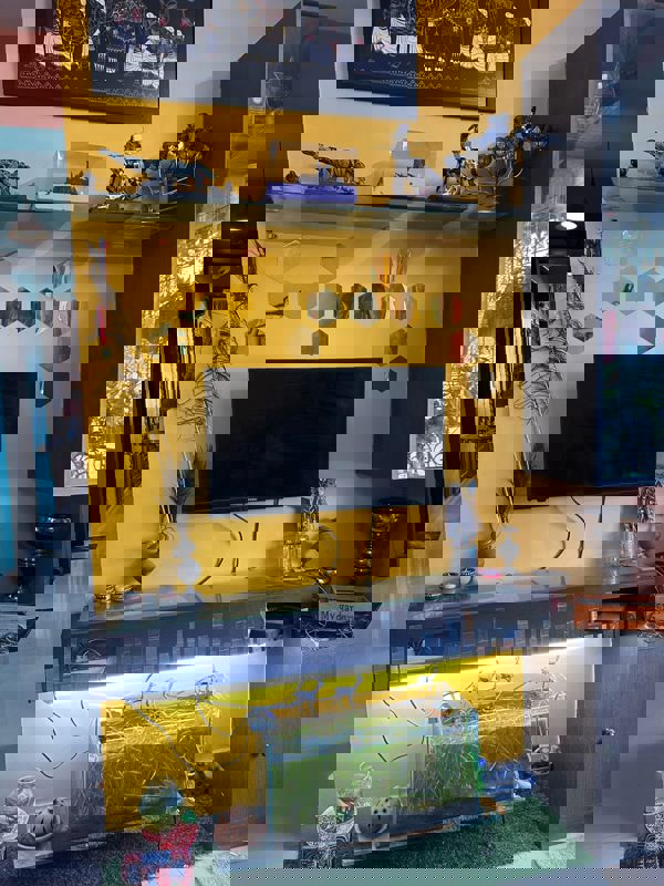 2 BHK 930 Sq.Ft. Apartment in Lake Primrose