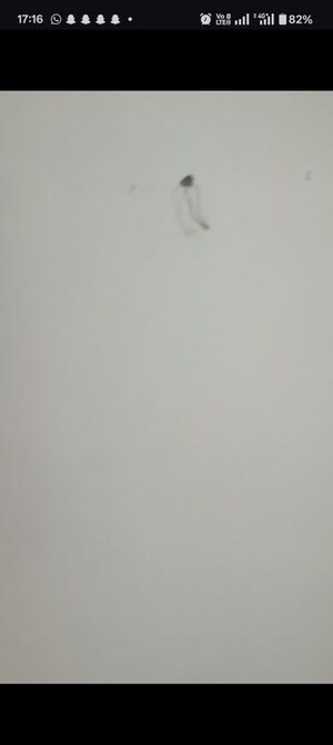 Furnished Amenities in 3 BHK Builder Floor at Govindpuri – for Sale