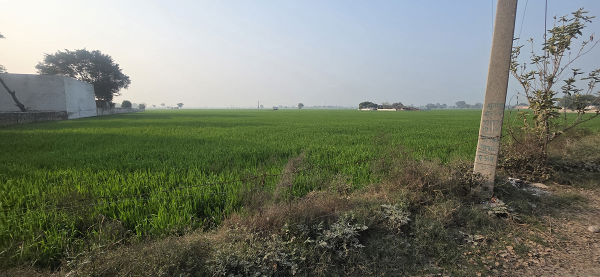 Plot For Sale in Sector 89