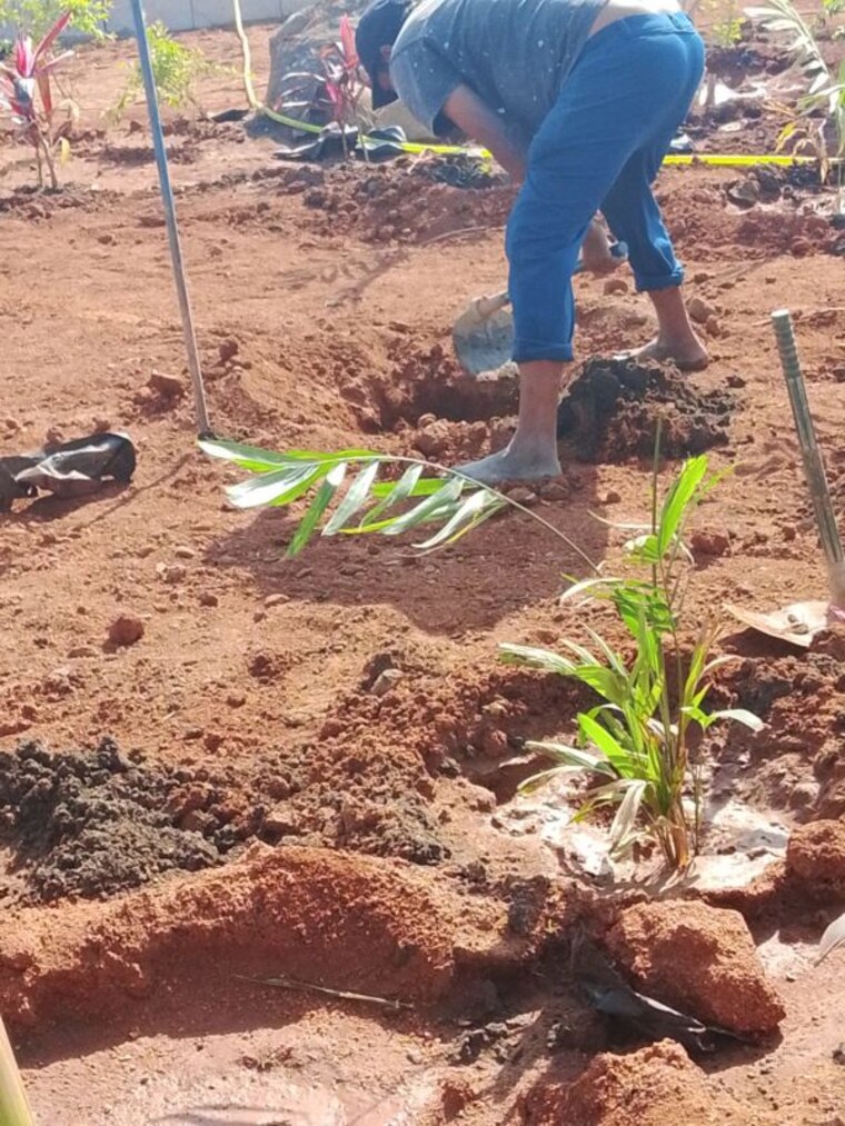 undefined, shadnagar  202 Sq.Yd. Plot In Shadnagar Hyderabad 10308085