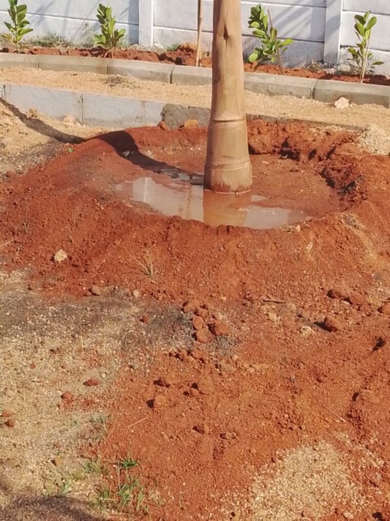 Garden, shadnagar  202 Sq.Yd. Plot In Shadnagar Hyderabad 10308085