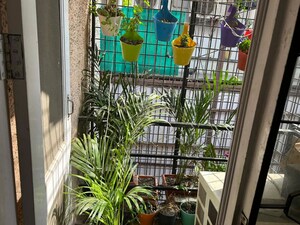 Balcony in 3 BHK Builder Floor at Tagore Garden – for Rent