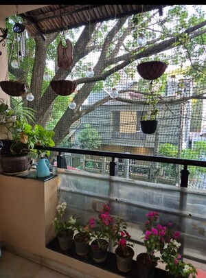 3 BHK Apartment – Exterior View View at Koramangala - for Sale