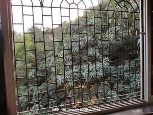 Balcony in 2 BHK Apartment at Mayfair The View, Vikhroli West – for Rent