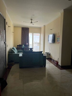 Living Room in 3 BHK Builder Floor at Sector 45 – for Rent