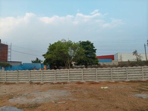 Plot Area in  Plot at Mamidipally – for Sale