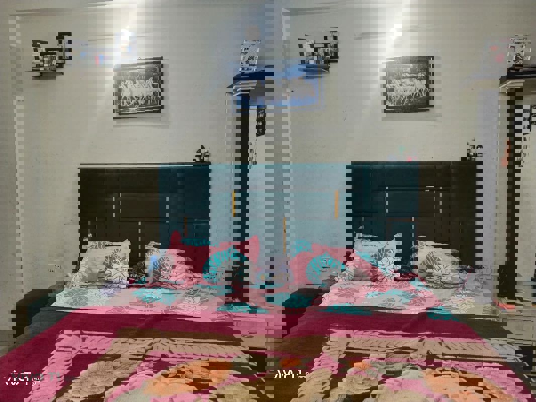 2 BHK 1033 Sq.Ft. Apartment in Panchsheel Hynish