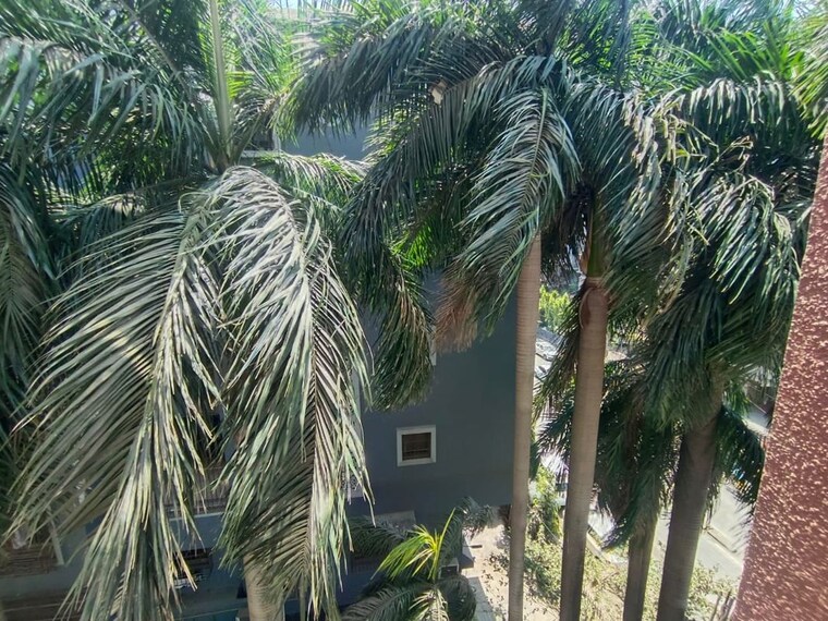 Exterior View, ariisto-hills 3 Bedroom 800 Sq.Ft. Apartment In Chembur Mumbai 10310506