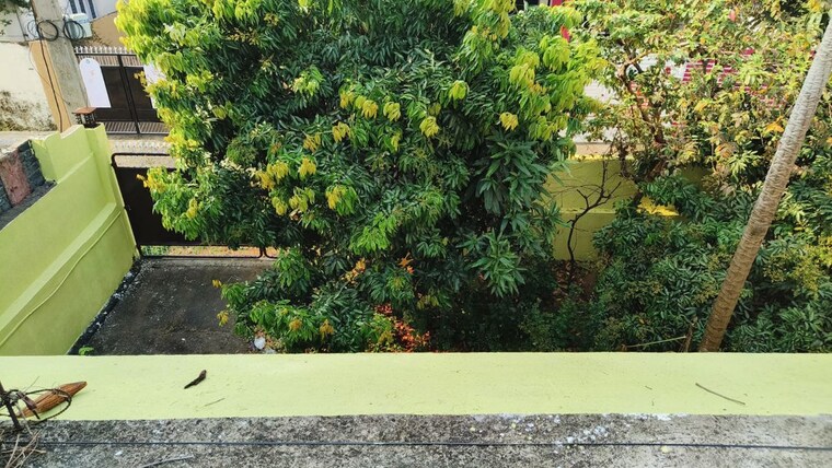 Garden, bariatu 3 Bedroom 3000 Sq.Ft. Independent House In Bariatu Ranchi 10310564