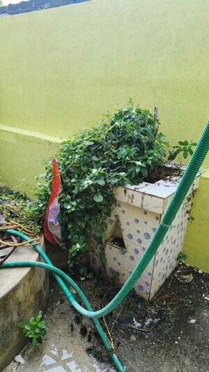 Balcony in 3 BHK Independent House at Bariatu – for Rent