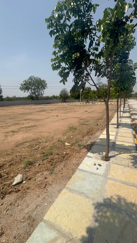 Plot For Sale in Sri Sai Nagar