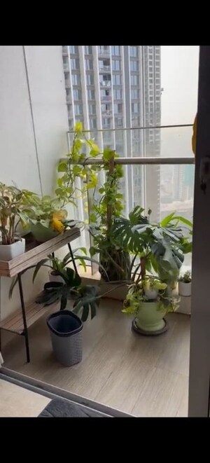 3 BHK Apartment For Rent in Oberoi Sky City, Borivali East