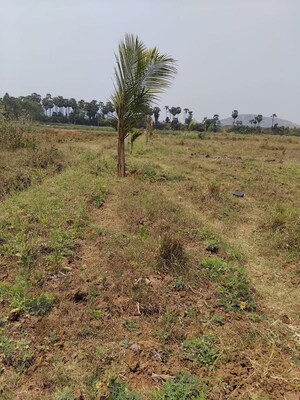 Plot Area in  Plot at Anandapuram – for Sale