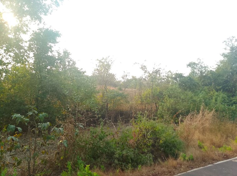 undefined, karjat Commercial Land 1089 Sq.Ft. In Karjat Navi Mumbai 10311110