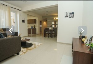 Living Room in 3 BHK Apartment at Tulip Violet, Sector 69 – for Sale