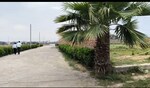 2400 Sq.Ft. Plot in SK The Grand City