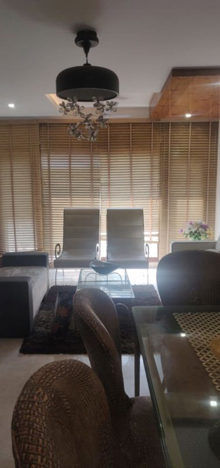 Living Room, safdarjung enclave 3 Bedroom 200 Sq.Yd. Builder Floor In Safdarjung Enclave Delhi 10311324