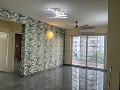 3 BHK + Pooja Room,Basement Apartment For Rent in CHD Avenue 71