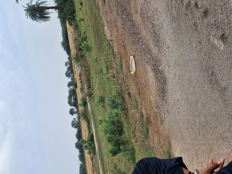 undefined, sohna  150 Sq.Yd. Plot In Sohna Gurgaon 10311659