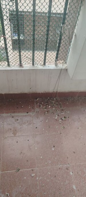 Kitchen in 2 BHK Apartment at Empire Meadows, Ameenpur – for Sale