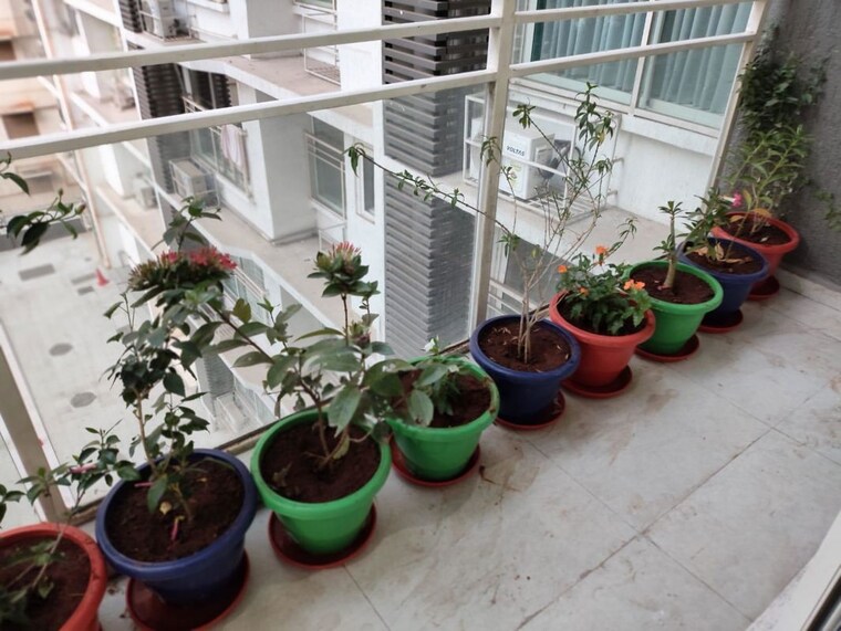 Balcony, ambedkar nagar 2 Bedroom 1200 Sq.Ft. Apartment In Ambedkar Nagar Mumbai 10311863