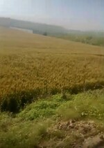 10000 Sq.Ft. Industrial Plot in Mansurpur