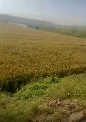  Industrial Plot For Sale in Mansurpur