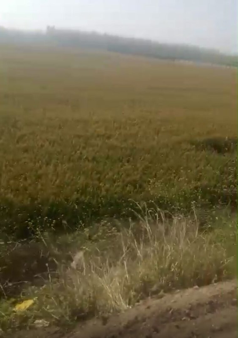 undefined, mansurpur Commercial Industrial Plot 10000 Sq.Ft. In Mansurpur Muzaffarnagar 10285431