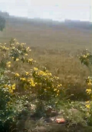  Industrial Plot – Garden View at Mansurpur - for Sale