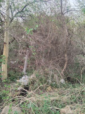 Plot Area in  Plot at Mokarwadi – for Sale