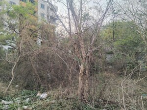 Plot Area in  Plot at Mokarwadi – for Sale