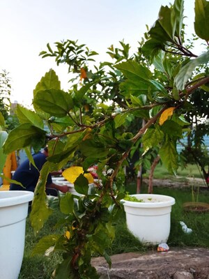 1 RK Apartment – Garden View at Palam Vihar Residents Association, Palam Vihar - for Rent