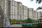 4 BHK 1750 Sq.Ft. Apartment in DLF The Belvedere Park