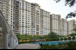 4 BHK Apartment For Rent in DLF The Belvedere Park