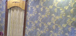 1 RkApartment For Rent in Dolphin CHS Parel