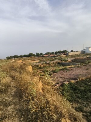 Plot Area in  Plot at Saini – for Sale