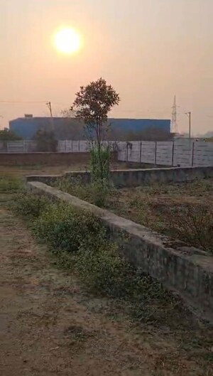 Plot Area in  Plot at Saini – for Sale