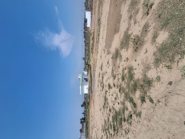 undefined, tijara  100 Sq.Yd. Plot In Tijara Alwar 10312823