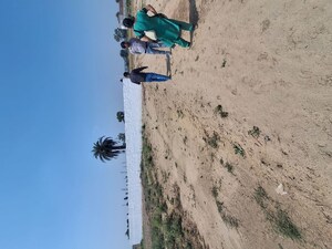   Plot at Tijara – for Sale